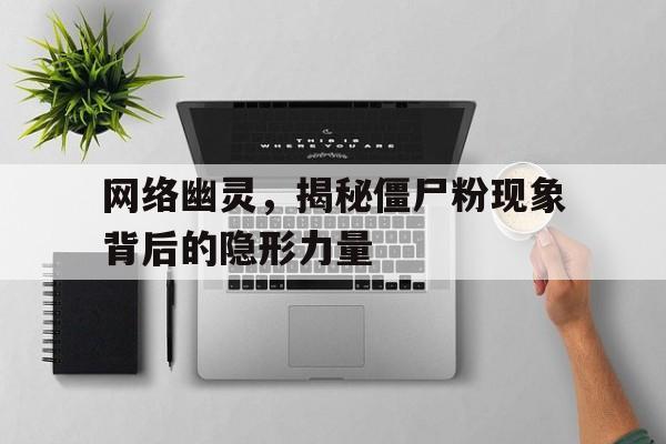僵尸粉测试